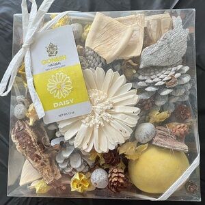 Daisy Potpourri